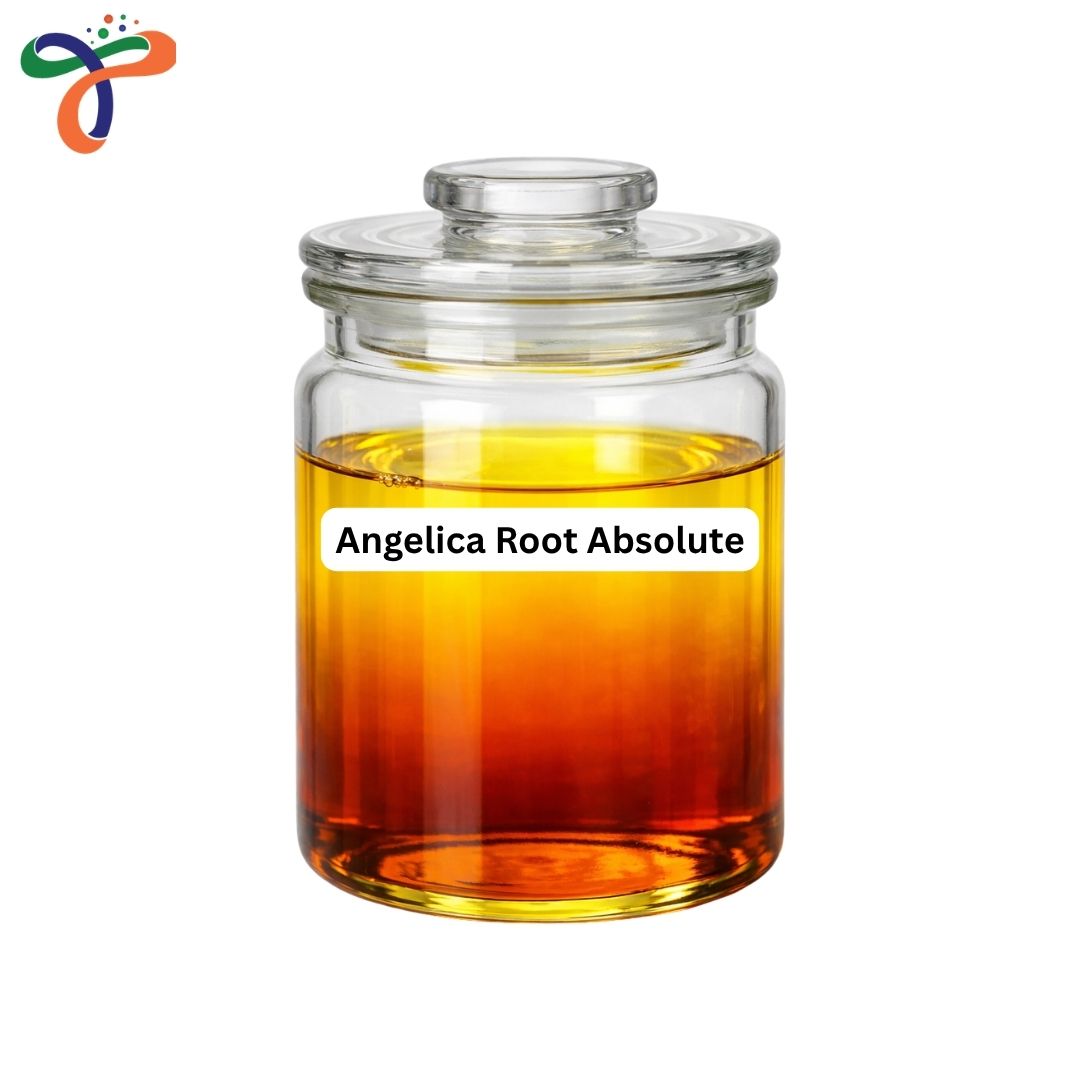 Angelica Root Absolute
